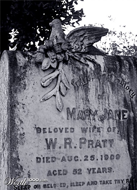 Photography by Isabella2006