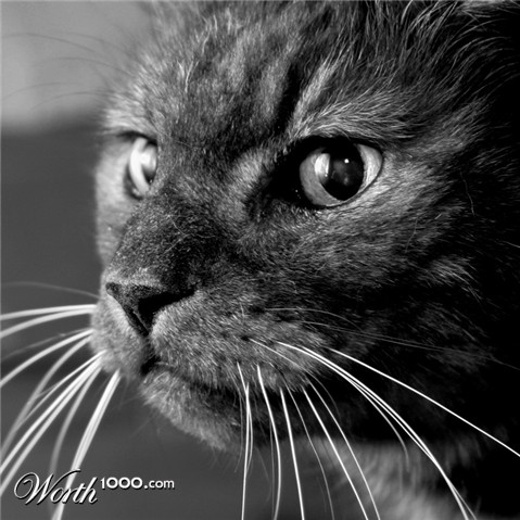 Photography by sodigece