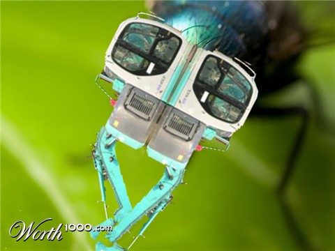 Photoshop Design by Tat2Grizzly