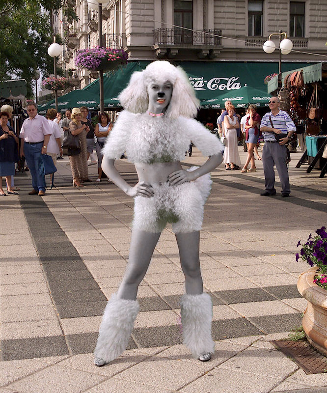 Photoshop Design by devilmoon for DesignCrowd (Community Contests) | Design #8978975