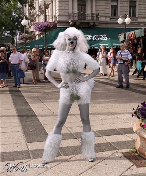 Photoshop Design by devilmoon