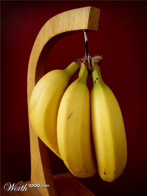 Photography by mrJACQUELYN