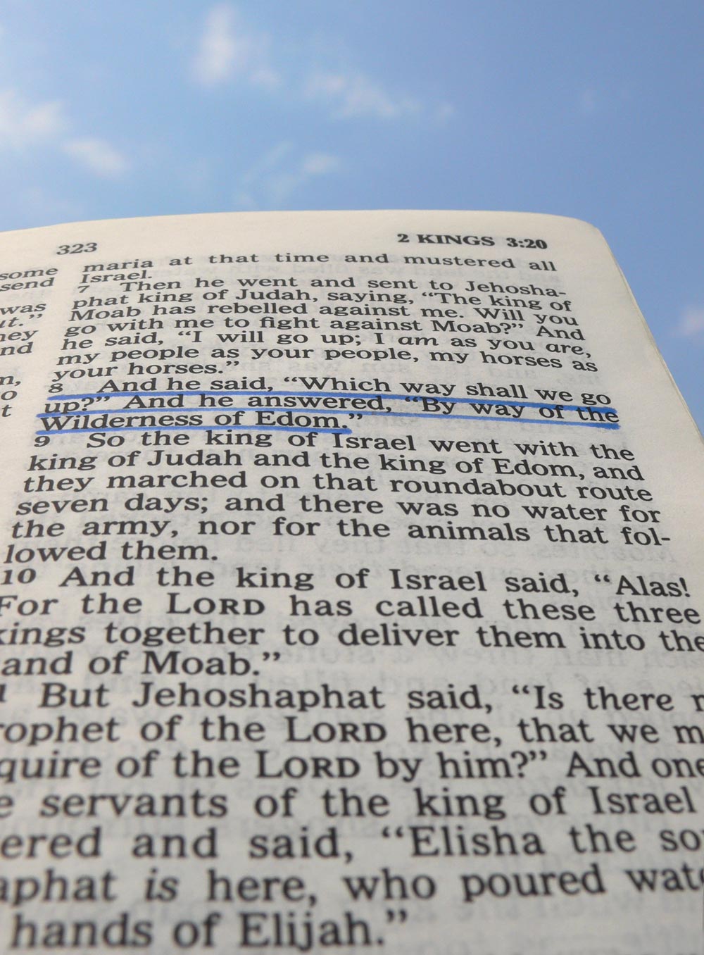 Photography by sausirhi for DesignCrowd (Community Contests) | Design #8981870