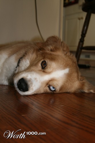 Photography by kevinness17