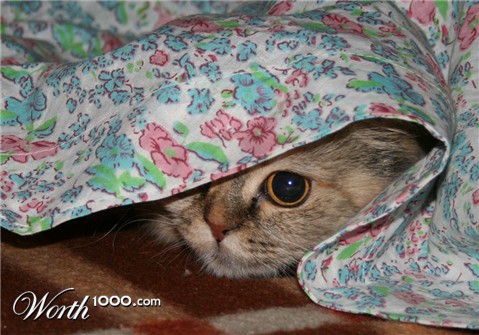 Photography by ALEXXXNF