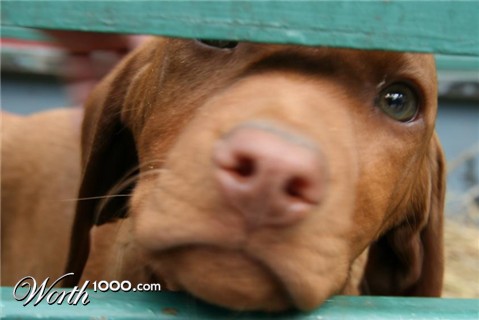 Photography by door101