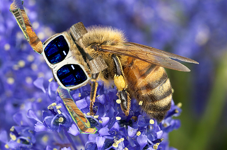 Diseño de Photoshop por Nidalr para DesignCrowd (Community Contests) | Diseño #8978562