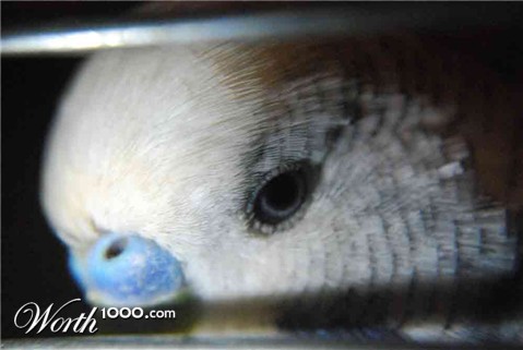 Photography by mush2274