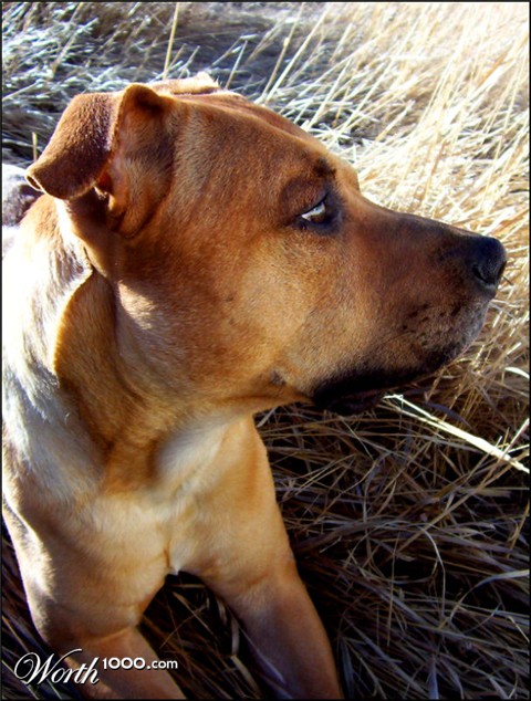 Photography by Marlii