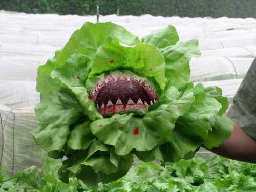 Design Photoshop par VaneetraX pour DesignCrowd (Community Contests) | Design #8982934