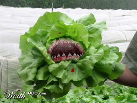 Photoshop Design by VaneetraX