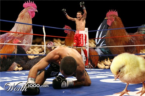 Photoshop Design by WildChildBaby