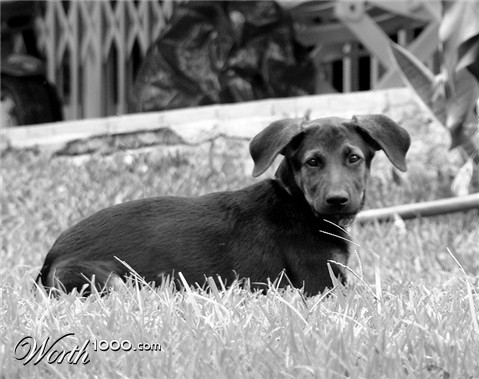 Photography by ideiadigital