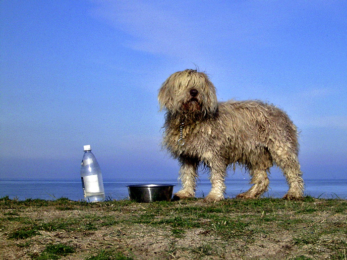 Photographie par charizz pour DesignCrowd (Community Contests) | Design #8980491