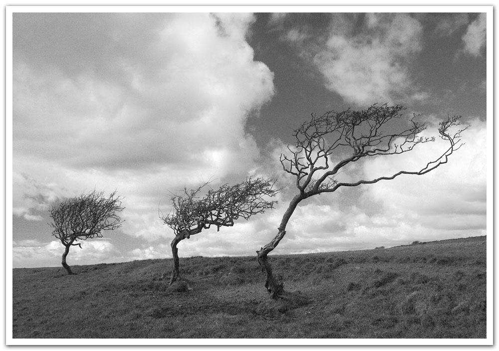 Fotografie von SigloV für DesignCrowd (Community Contests) | Design #8976962