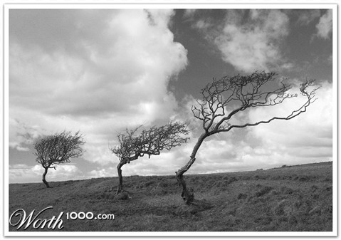 Photography by SigloV