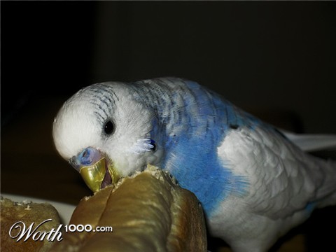 Photography by imgeorge