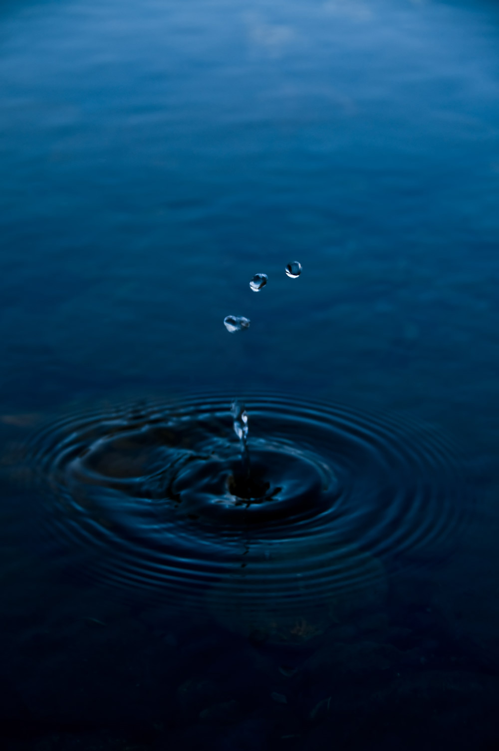Fotografía por Ozzerr para DesignCrowd (Community Contests) | Diseño #8977003