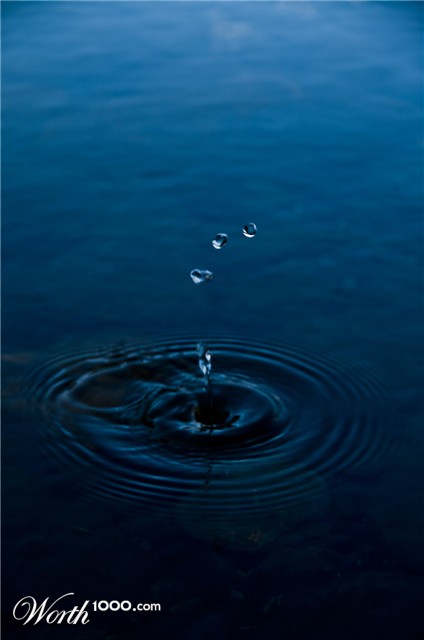 Photography by Ozzerr