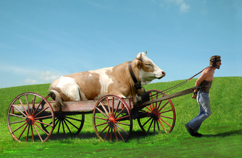 Photoshop Design by fedelop for DesignCrowd (Community Contests) | Design #8983119