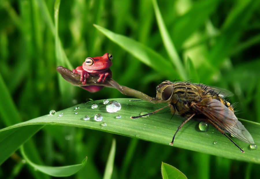 Design Photoshop par Mushon pour DesignCrowd (Community Contests) | Design #8983100