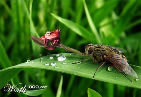 Photoshop Design by Mushon