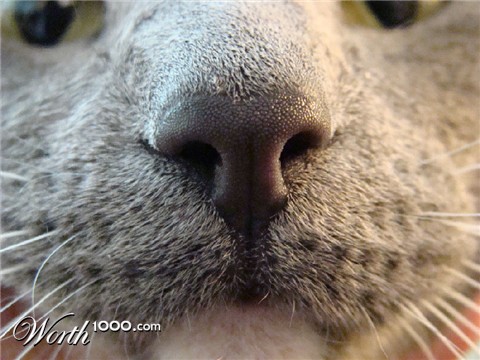 Photography by mandabear1023