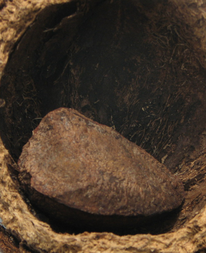 Photography by klxner for DesignCrowd (Community Contests) | Design #8977645