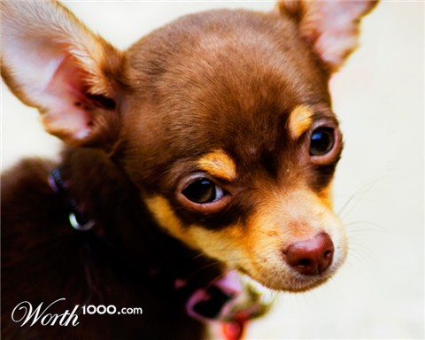 Photography by iDadalex