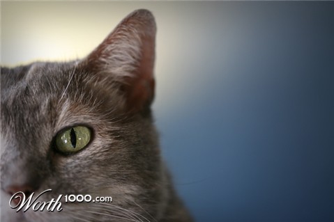 Photography by NNowack