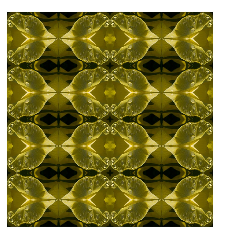 Photographie par amorfic pour DesignCrowd (Community Contests) | Design #8983638