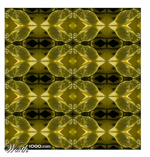 Photography by amorfic