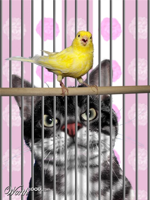 Photoshop Design by Leteset