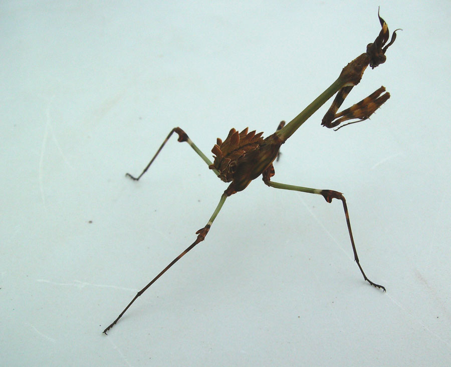 Photography by wakevortex for DesignCrowd (Community Contests) | Design #8980601