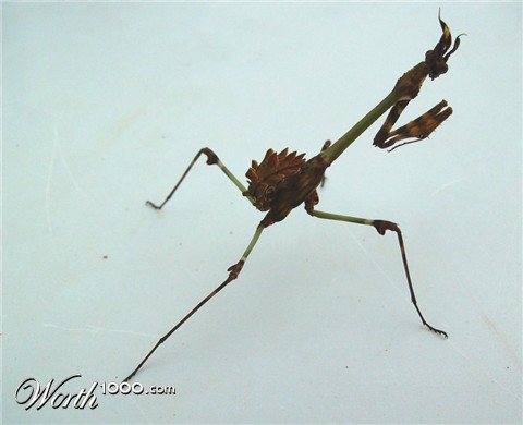 Photography by wakevortex