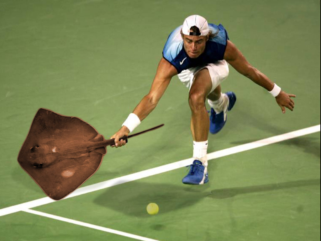 Photoshop Design by amalmansy for DesignCrowd (Community Contests) | Design #8978346