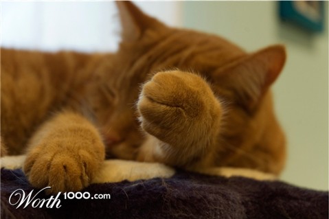 Photography by AlastairI