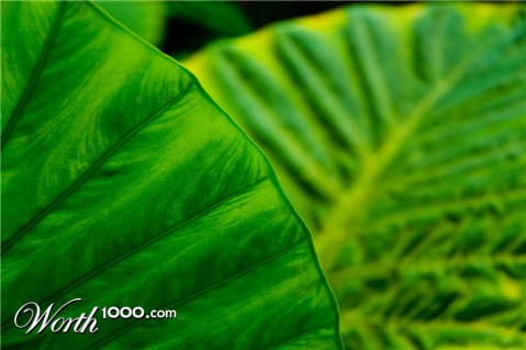 Photography by AlastairI