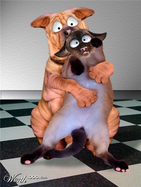 Photoshop Design by SuperPimp