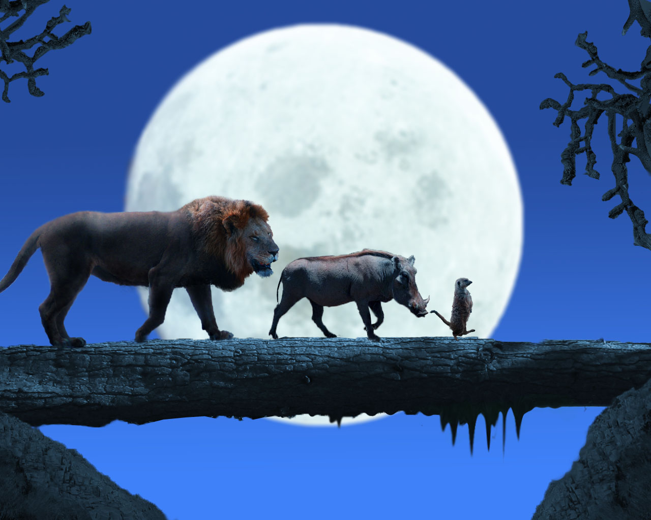 Photoshop Design by knutmaurset for DesignCrowd (Community Contests) | Design #8977064