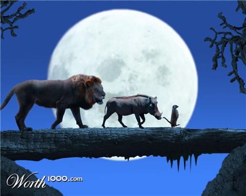 Photoshop Design by knutmaurset