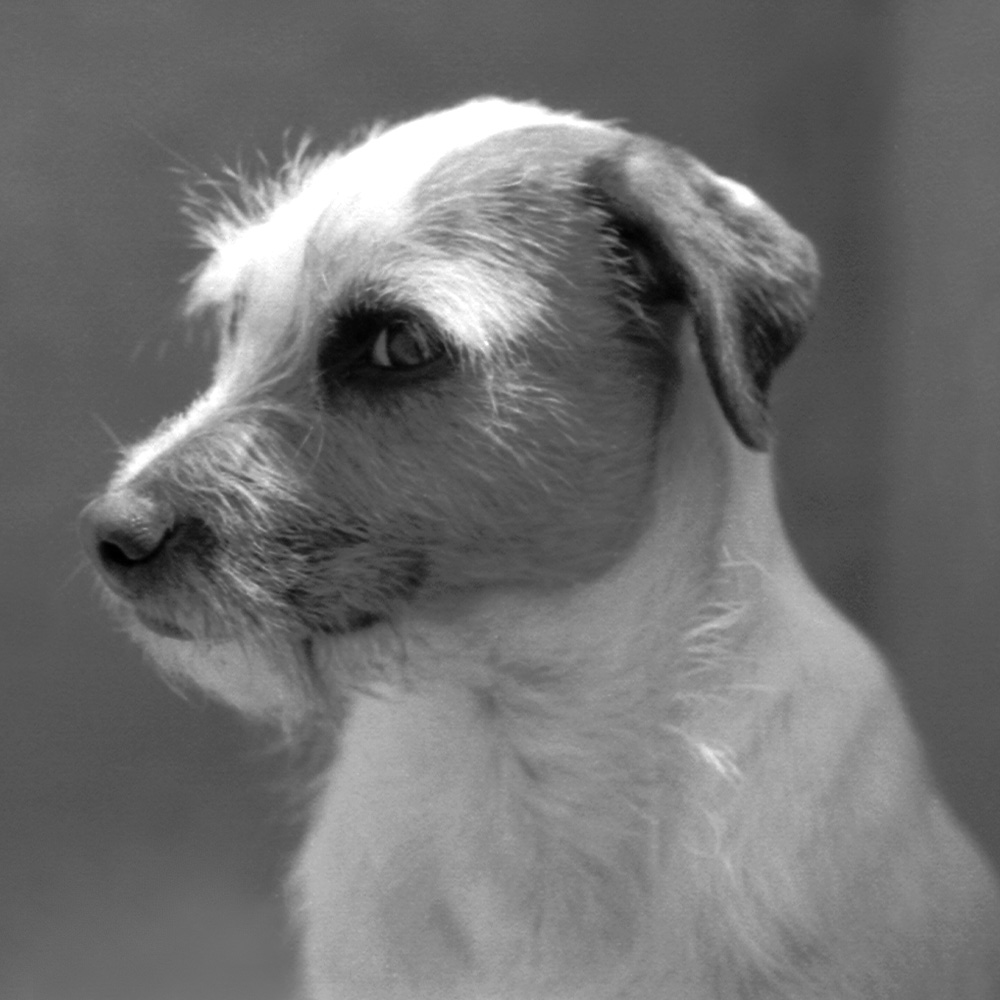 Photography by sausirhi for DesignCrowd (Community Contests) | Design #8980678