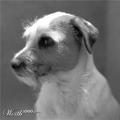 Photography by sausirhi