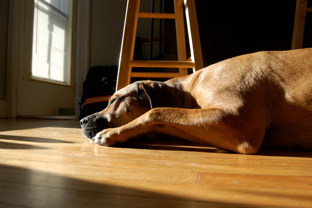 Photography by chronus24 for DesignCrowd (Community Contests) | Design #8980629