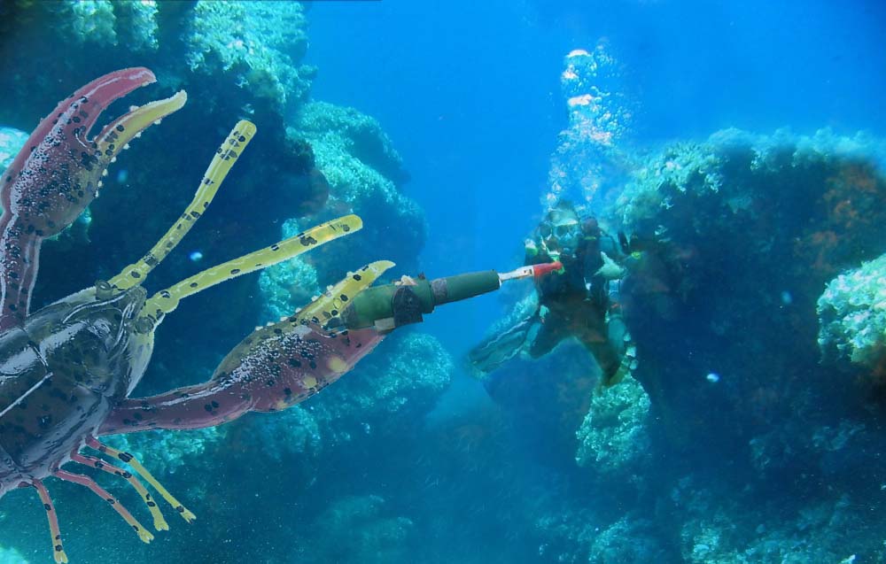 Photoshop Design by msfrigyfrog for DesignCrowd (Community Contests) | Design #8982267