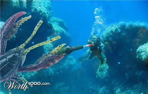 Photoshop Design by msfrigyfrog