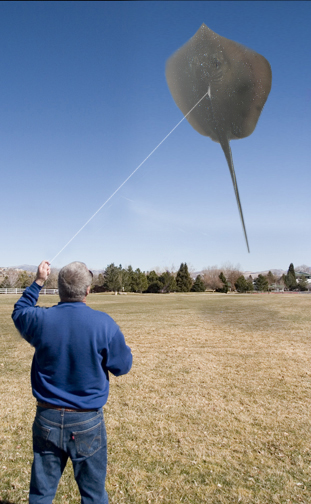 Photoshop-Design von kryptonenerio für DesignCrowd (Community Contests) | Design #8978385