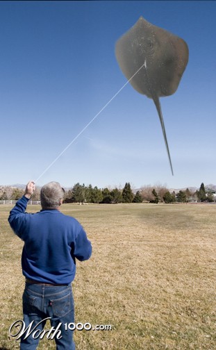 Photoshop Design by kryptonenerio