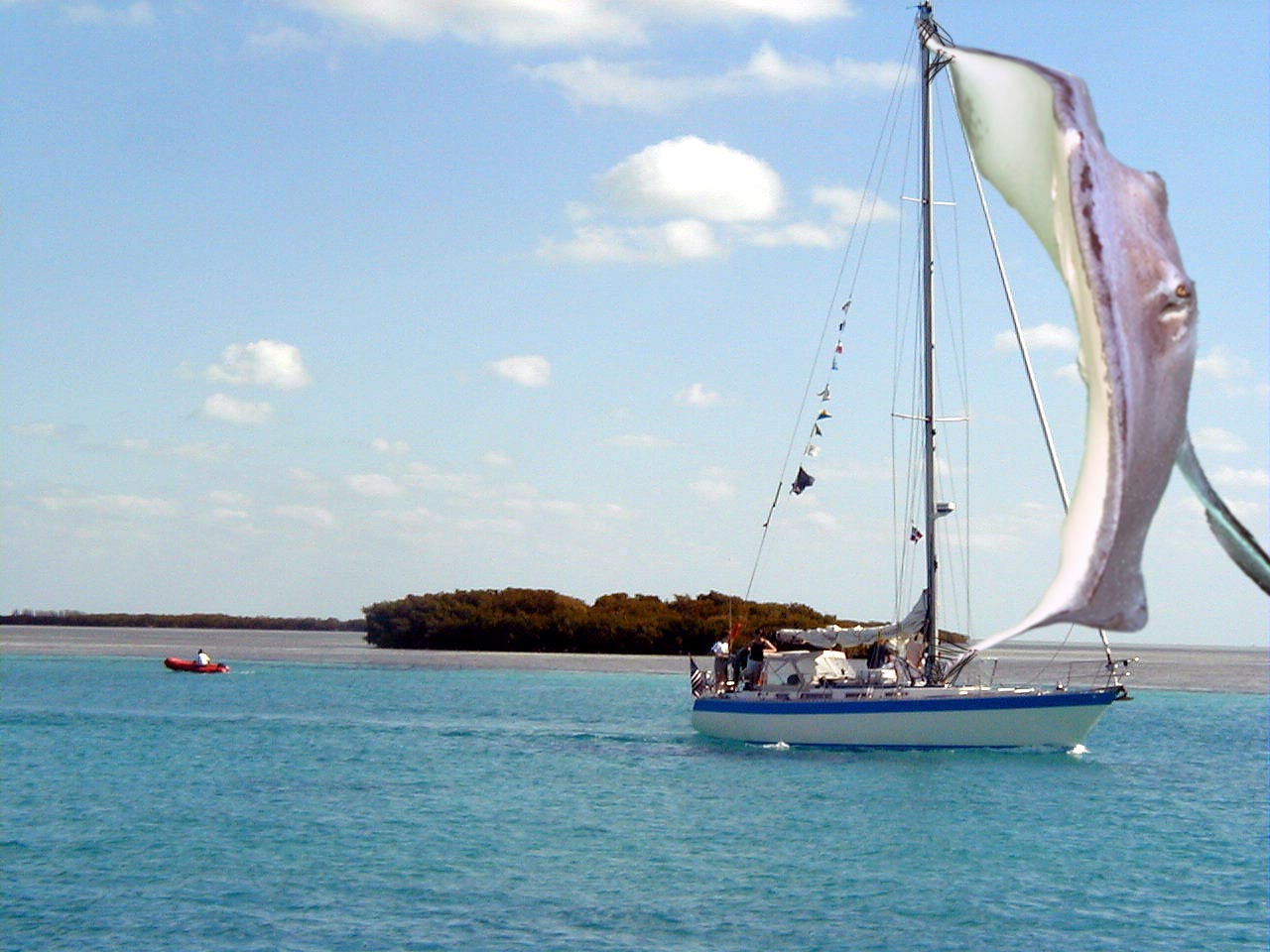 Diseño de Photoshop por photoshopnewbie para DesignCrowd (Community Contests) | Diseño #8978377