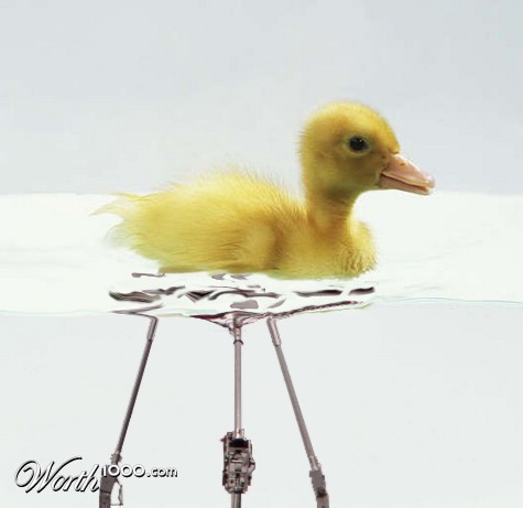 Photoshop Design by Tixevil